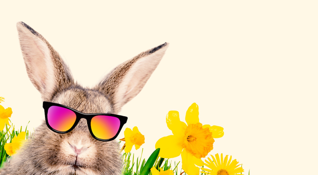 Finanzmanager Update